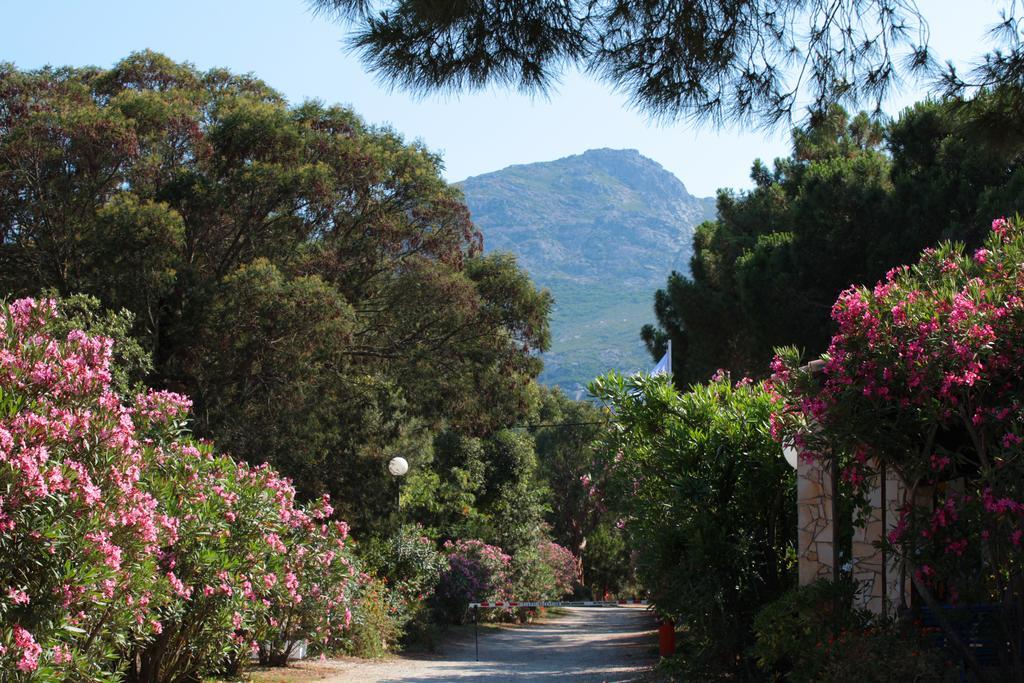 Camping Bella Vista Hotel Calvi  Exterior foto